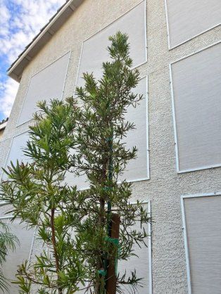 Solar screen replacement, after